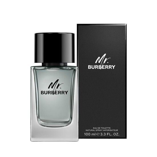 MR. BURBERRY edt vapo 100 ml 100 ml