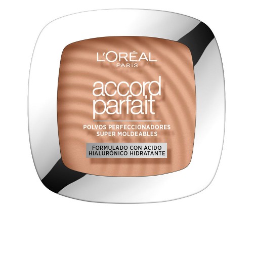 ACCORD PARFAIT melting powder hyaluronic acid #5.D 9 gr
