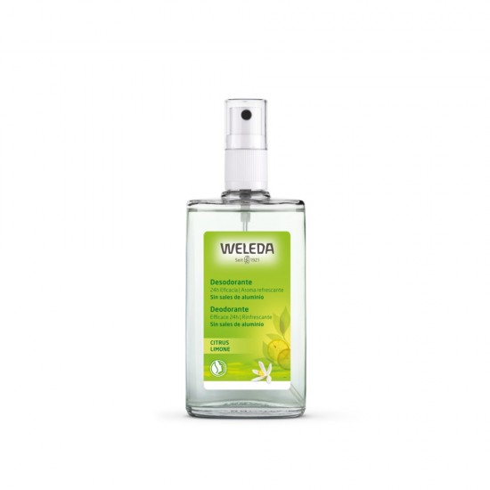 CITRUS deodorant 24h eficacia spray 100 ml 100 ml