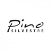 Pino Silvestre