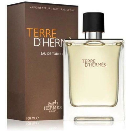 TERRE DHERMÈS eau de toilette spray 100 ml 100 ml